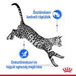 Royal Canin Indoor Jelly (12*85G)