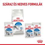 Royal Canin Indoor Jelly (12*85G)