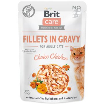 BRIT Care Cat filé Gravy Choice csirkehúsban 85g 
