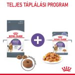 Royal Canin Appetite Control Care Jelly (12*85 г)