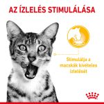 Royal Canin Sensory Taste Jelly (12*85G)
