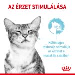 Royal Canin Sensory Feel Jelly (12*85G)