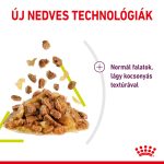 Royal Canin Sensory Smell Jelly (12*85G)