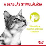 Royal Canin Sensory Smell Jelly (12*85G)
