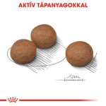 Royal Canin Medium Digestive Care 12 кг