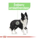 Royal Canin Medium Digestive Care 12 кг