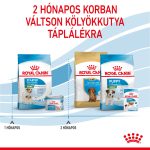 Royal Canin Mini Starter Mother & Babydog 4-10Kg 8Kg