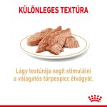 Royal Canin Pomeranian Adult (12*85 г)