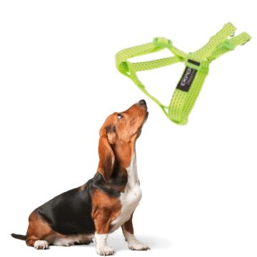 Tatrapet Expert állítható kutyahám/ Neonzöld