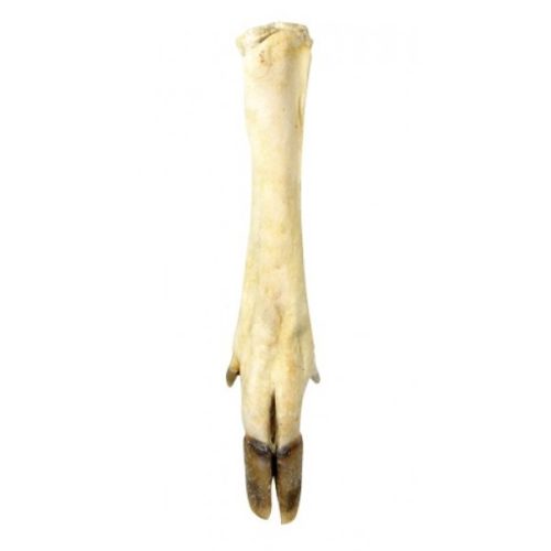 Szarvasláb, fehér, 330g