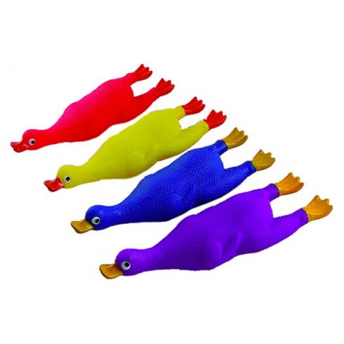 Hasaló kacsa vegyes színekben