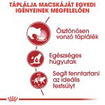 Royal Canin Instinctive Gravy (12*85G)