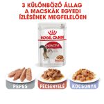 Royal Canin Instinctive Gravy (12*85G)