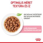 Сос за котенца Royal Canin (12*85 г)