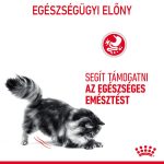 Royal Canin Digestive Care (12*85G)