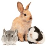 Nature Land BRUNCH Gabonamentes Szívek Cékla 150g