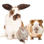 Nature Land BRUNCH Gabonamentes Szívek Keveréke 150g