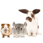 Nature Land Széna répával 0,65kg