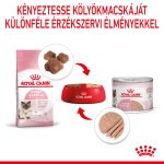 Royal Canin Babycat Mousse (12*195G)