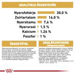 DACHSHUND PUPPY 1,5Kg  *új termék