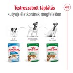 SHN WET MINI ADULT (12*195g) 