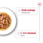 SHN WET MEDIUM ADULT (12*410g) 