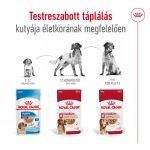 SHN WET MEDIUM ADULT (12*410g) 
