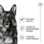SHN WET MAXI ADULT (12*410g) 