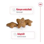 Royal Canin Mini 4-10 Kg Adult 800G