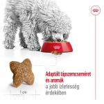 Royal Canin Mini 4-10 Kg Adult 800G