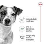 Royal Canin Mini 4-10 кг за възрастни кучета 2 кг