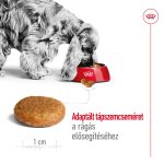 Royal Canin Medium 11-25 кг за възрастни 15 кг