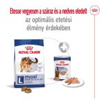 Royal Canin Maxi 26-45 кг за възрастни котки 4 кг