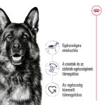 Royal Canin Maxi 26-45 кг за възрастни котки 4 кг