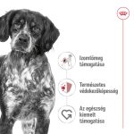 СРЕДЕН 11-25 кг ВЪЗРАСТЕН 3 кг