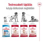 СРЕДЕН 11-25 кг ВЪЗРАСТЕН 3 кг