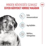 СРЕДНО КУЧЕНЦЕ 11-25 кг 12 кг