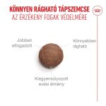 AGEING 11+ 400g *új termék