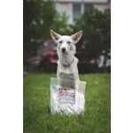UNIQ PETS DOG SNACKS NATURAL – Szőrös nyúlfül, 300g