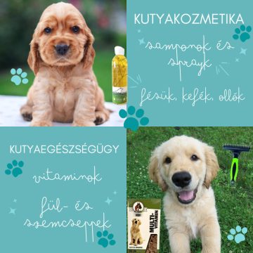 Kutyakozmetika, Kutyaegészségügy